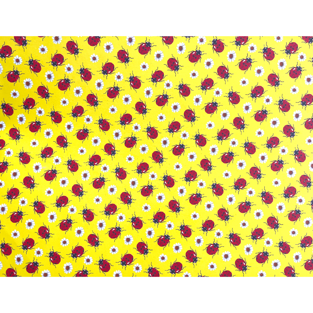 Χαρτόνι Δύο Όψεων "πασχαλίτσες" 50x70εκ.